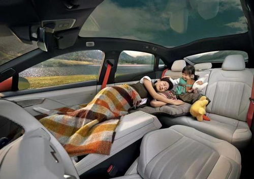 樂道l60迎來下線,看完內(nèi)飾網(wǎng)友們直呼 還買啥model y